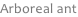 shapeimage_15_link_0