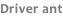 shapeimage_16_link_0